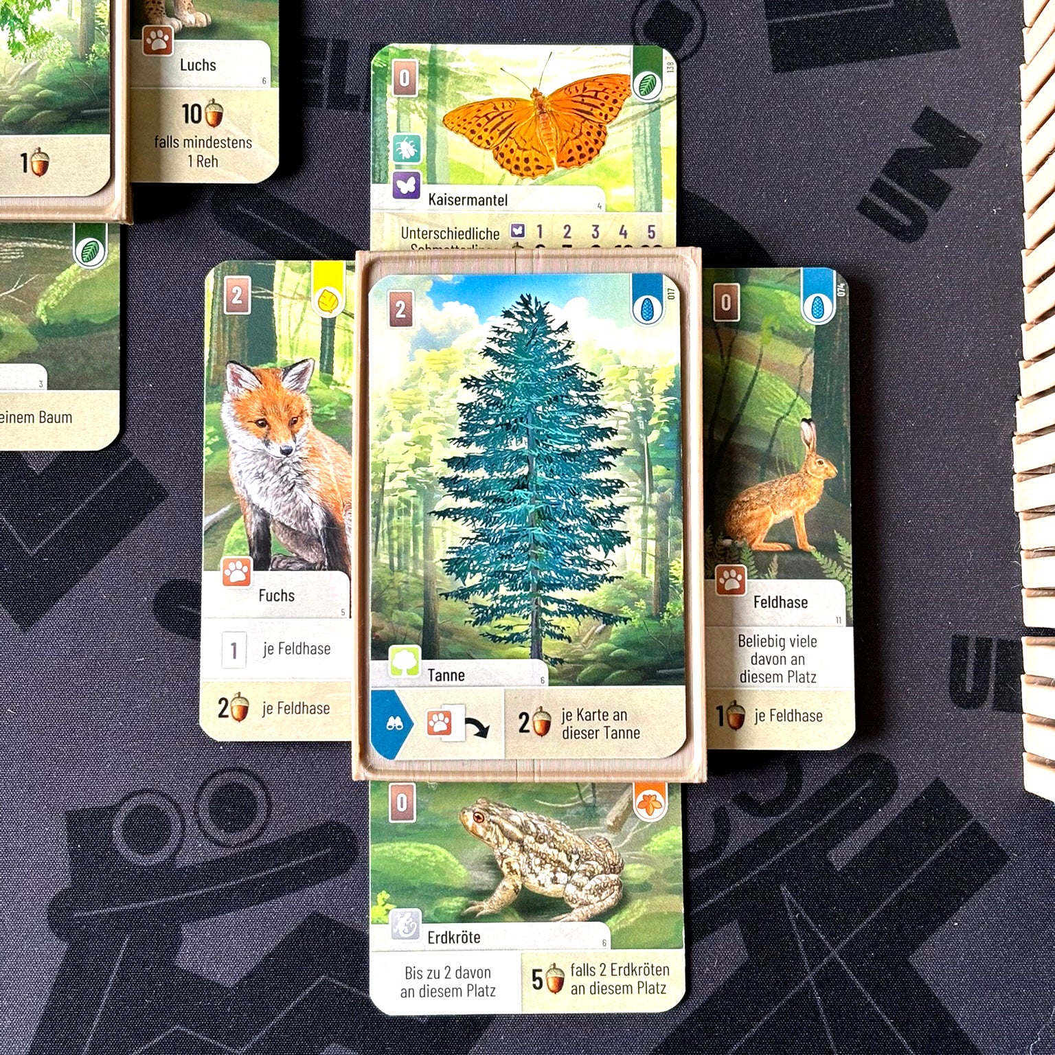 "MISCHWALD" Premium Kartenhalter + Kartenturm Set