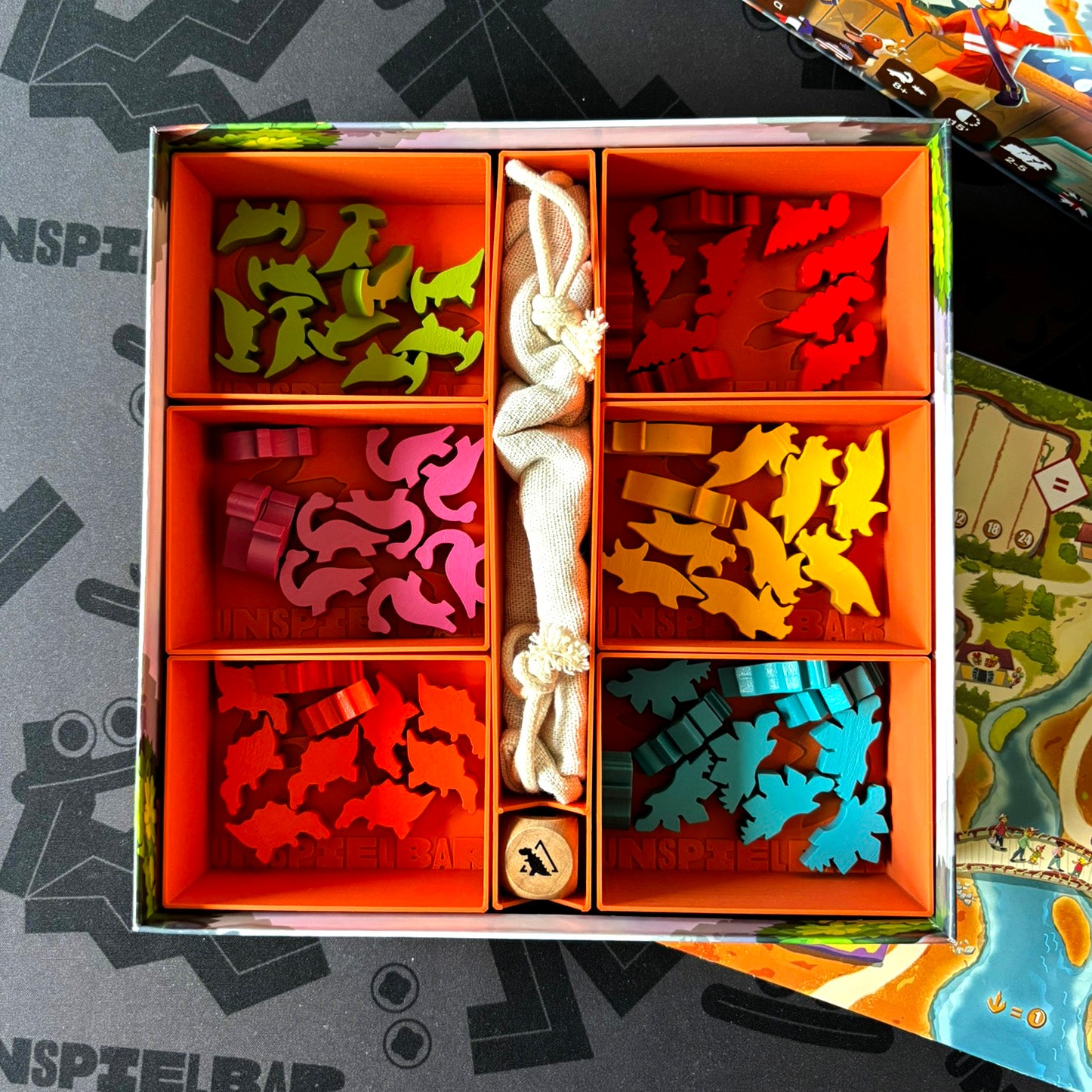 "DRAFTOSAURUS" Insert