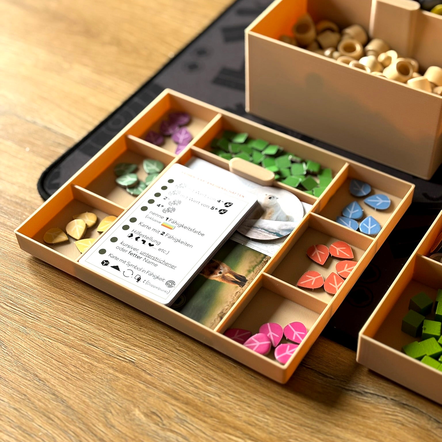 "EARTH" All-In Insert + Card Holder