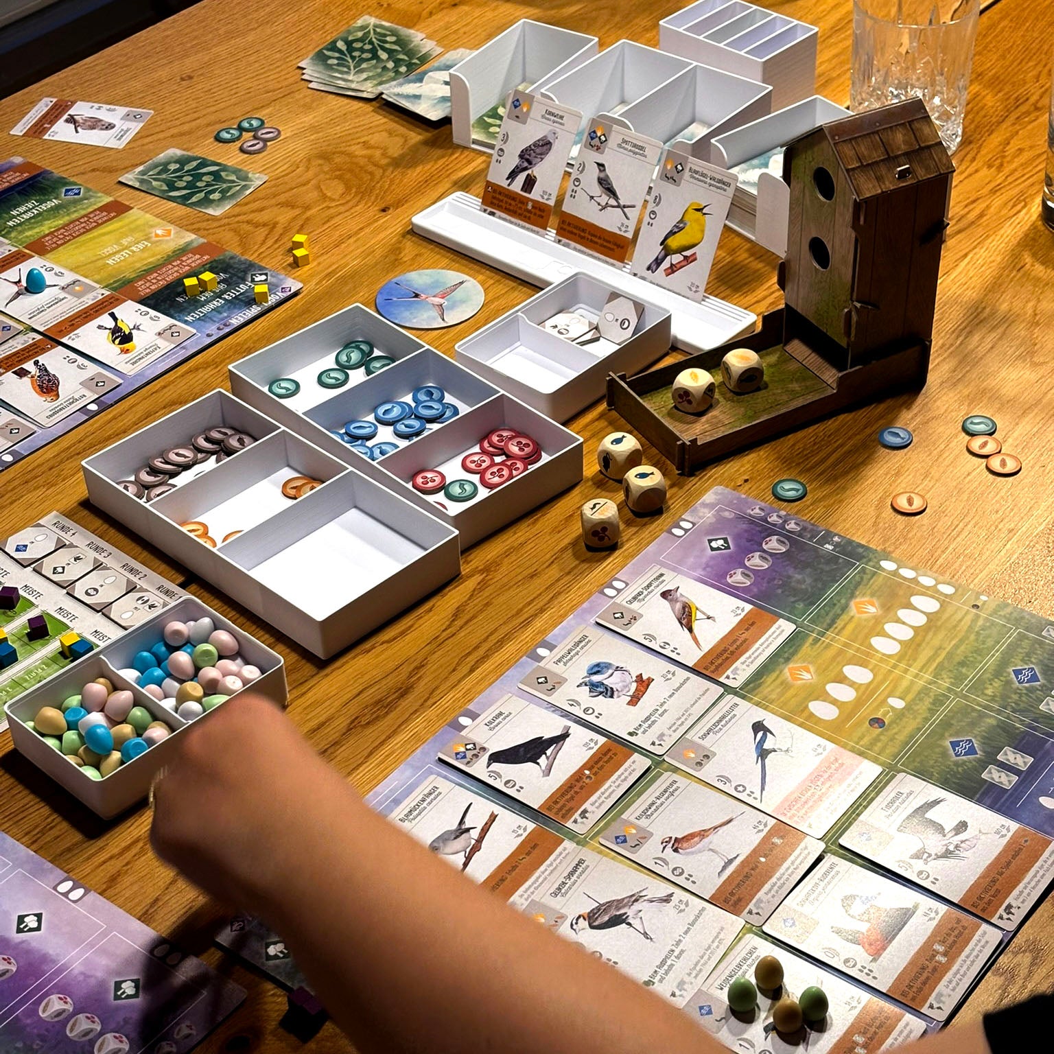 "FLÜGELSCHLAG" All-In Insert