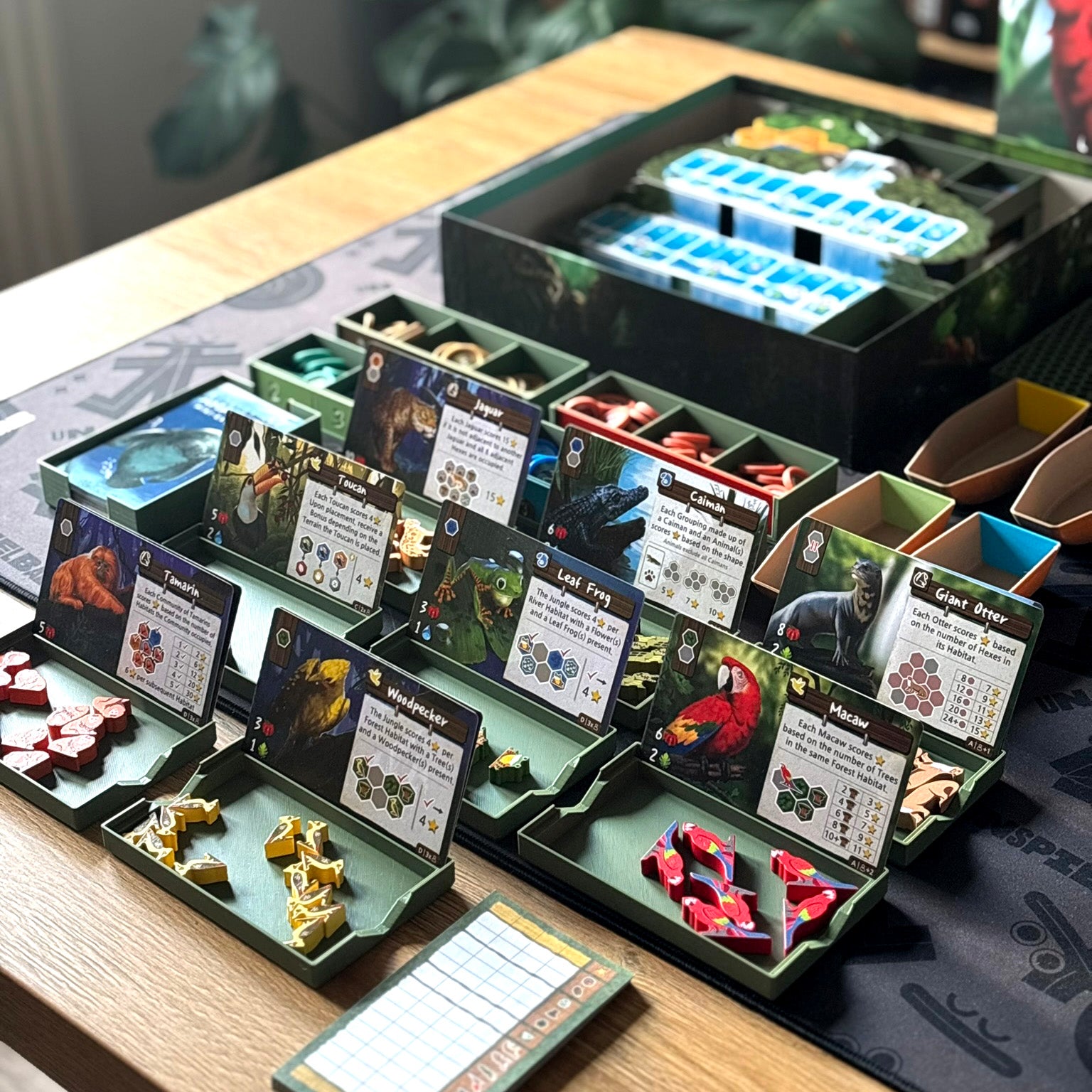 "LIFE OF AMAZONIA" All-In Insert + Player Boats